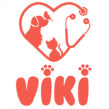 Viki Veteriner Kliniği