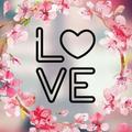 Love Quotes