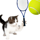 Cat Tennis Master icon