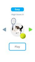 Cat Tennis Master poster
