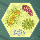 Biology quiz for kids and adults APK