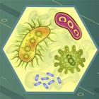 Biology quiz for kids and adults icon