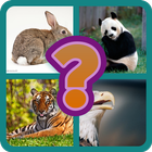 guess the animal icon
