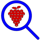 Viinihaku APK