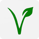 Vijay Shaviz Grocery APK