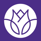 ڤيولا | Viola APK