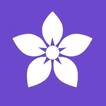 Violet icon