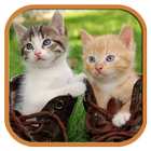 Funny Cats Tile Puzzle icône