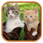 Funny Cats Tile Puzzle آئیکن