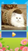 Funny Cats Tile Puzzle پوسٹر
