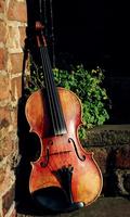 Violin Wallpaper 截圖 2