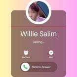 Video Call Chat Willie Salim