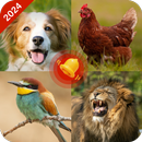 Animal ringtones-Animal sounds aplikacja