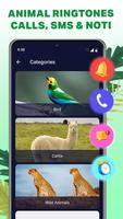 Animal ringtones-Animal sounds poster