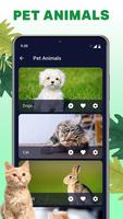 Animal ringtones-Animal sounds screenshot 3