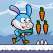 ”Bunny Carrot Run
