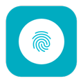 Fingerprint Gestures