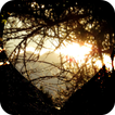 Heart of Darkness