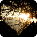 ”Heart of Darkness