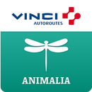 ANIMALIA by VINCI Autoroutes aplikacja