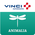 ANIMALIA by VINCI Autoroutes أيقونة