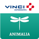 ANIMALIA by VINCI Autoroutes APK