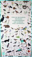 پوستر ANIMALIA by VINCI Autoroutes