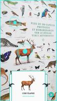 برنامه‌نما ANIMALIA by VINCI Autoroutes عکس از صفحه