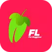 Learn FL Studio for Beginners