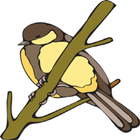Chirpy Birdy – Free Zeichen