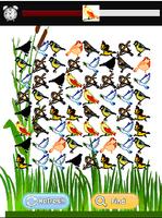 Chirpy Birdy – Free Plakat