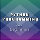 Python Programming ícone