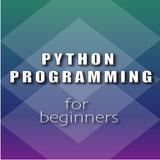 Python Programming biểu tượng