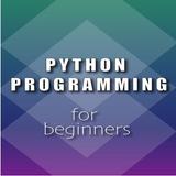 Python Programming icône