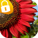 Sunflower Passcode Lock Screen APK