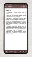 Salmos ACF screenshot 3