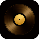 Vylex Record Haven APK