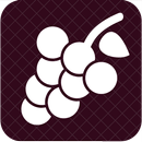 Jumilla Wine Route APK