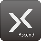 Zero-X Ascend Zeichen