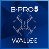 Brica B-PRO5SE WALLEE icône