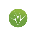 PZZW icon