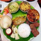 Bengali Recipes in Hindi icône
