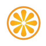 VisitBasis иконка
