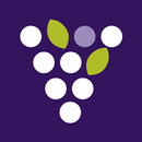 FIND VINES APK