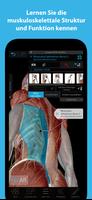 Muskeln & Kinesiologie Plakat