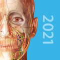 Human Anatomy Atlas 2021: Complete 3D Human Body