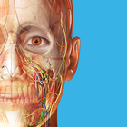 Human Anatomy Atlas 2024-icoon