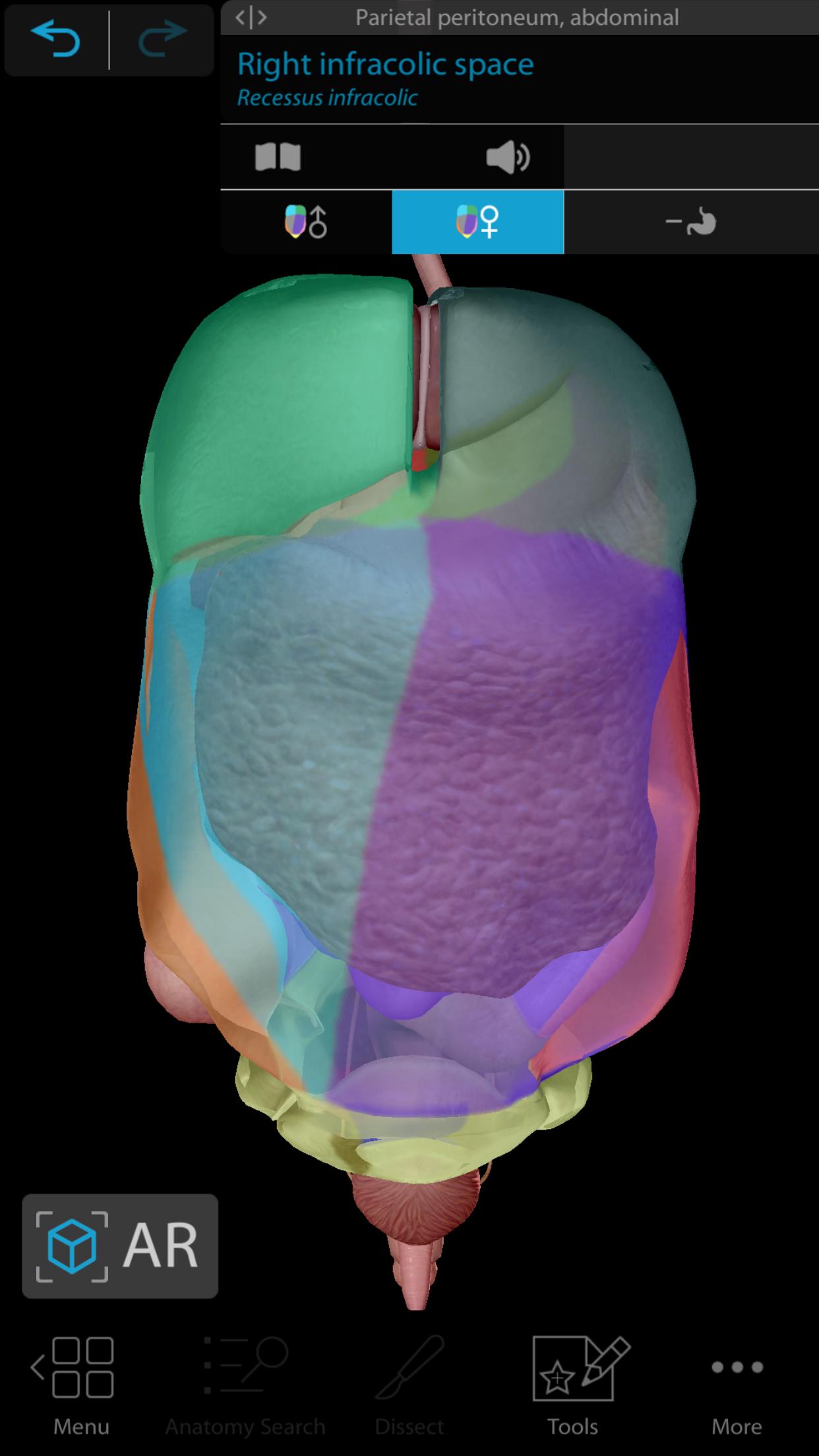 Human anatomy atlas 3d Human anatomy atlas 3d