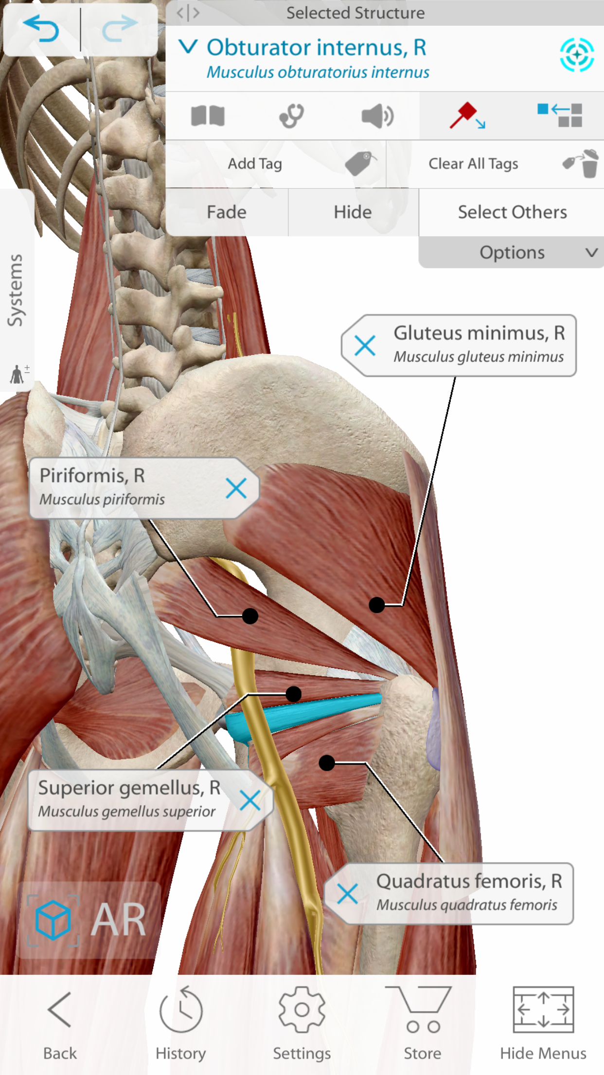 Complete anatomy 3d medical Complete anatomy 3d medical