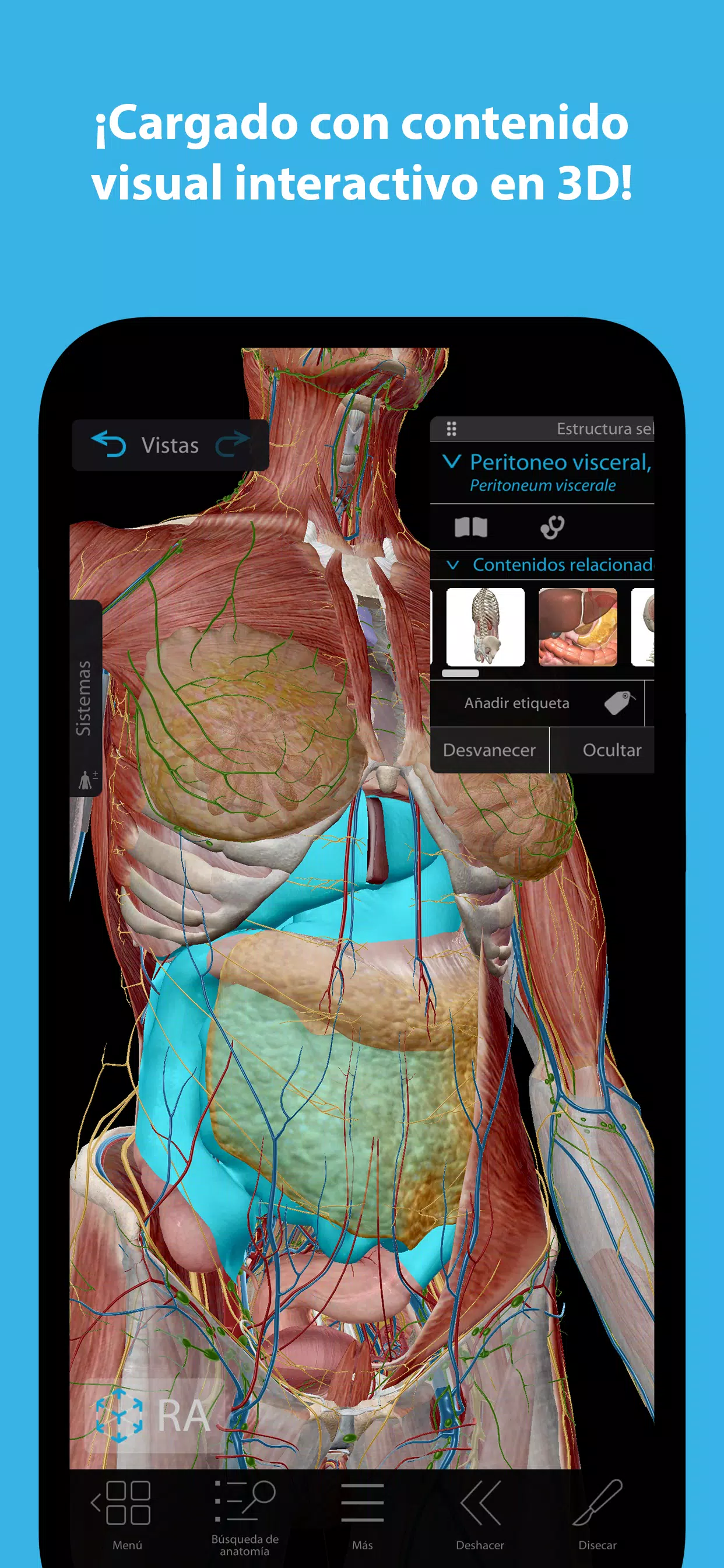 Atlas de anatomía humana 2023 La Última Versión 2023.04.011 para Android